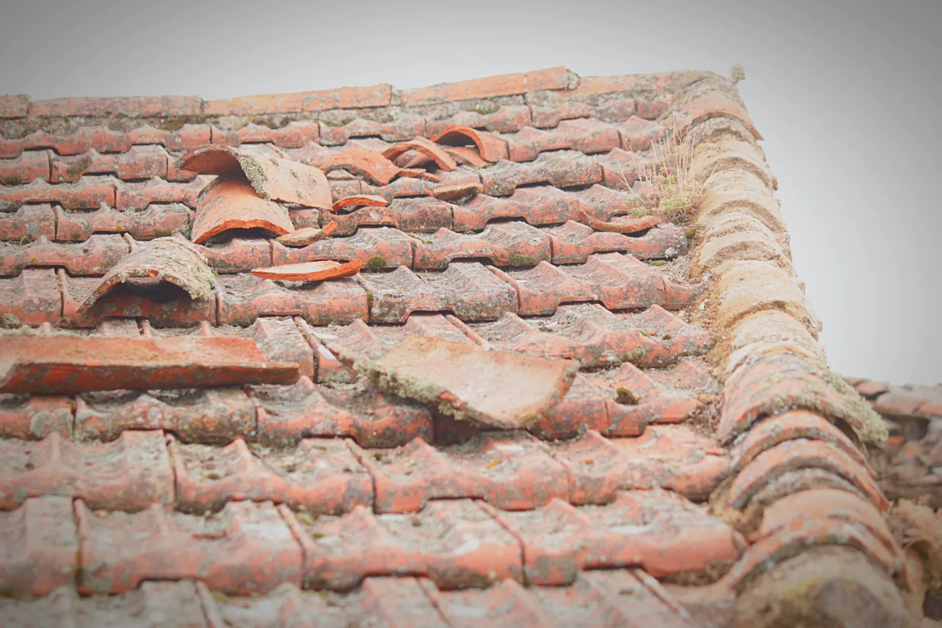 Missing Tiles And Slates - Common Roof Problems