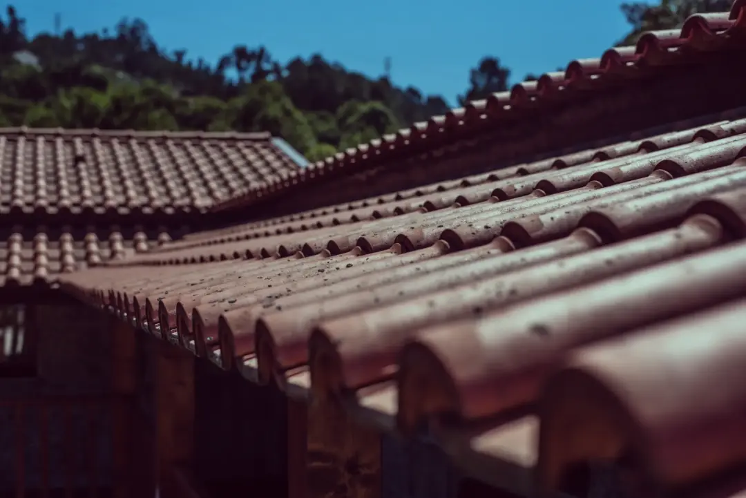 Clay and Concrete Tiles